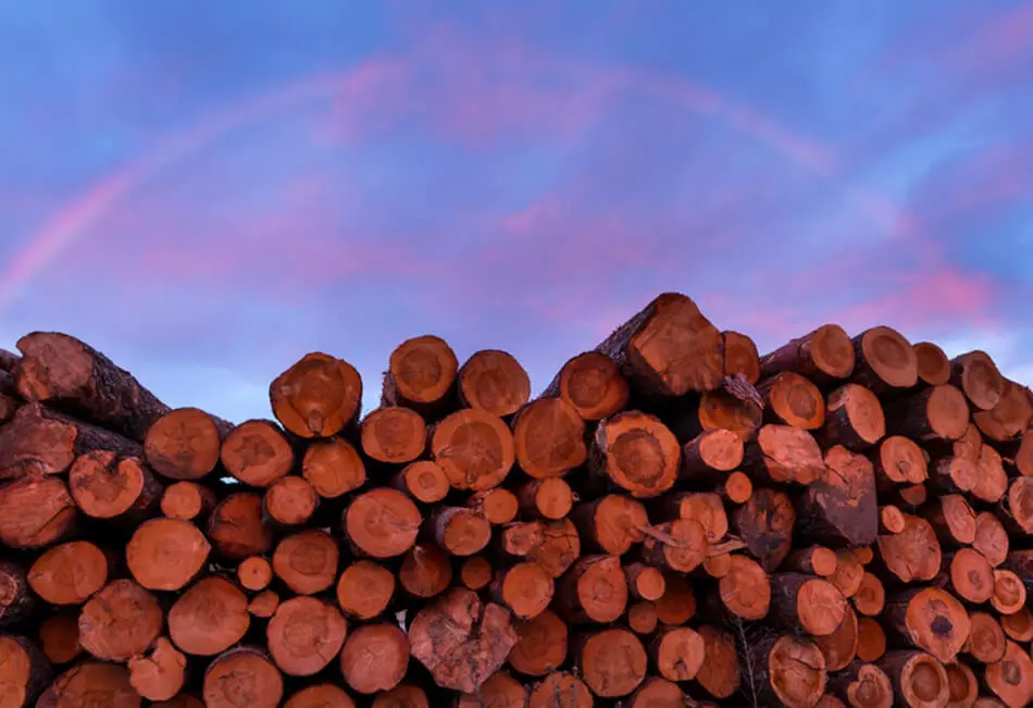 Sustainable sourcing