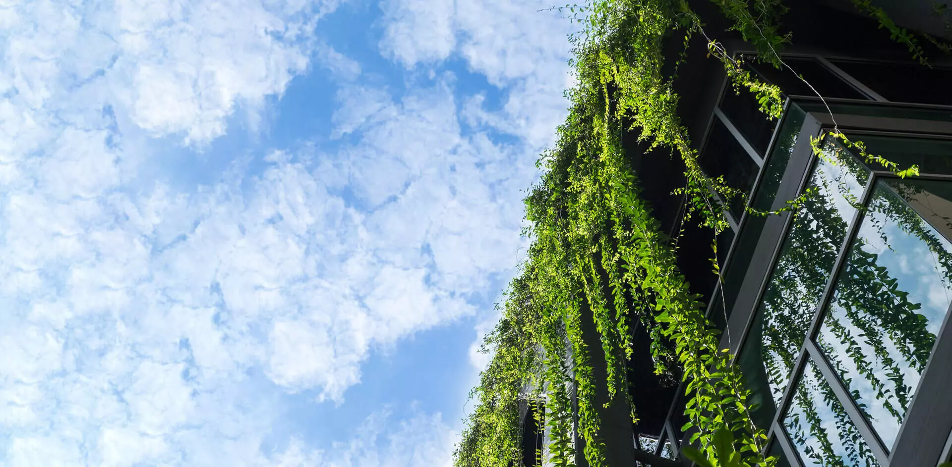 Sustainability at BEC Arabia