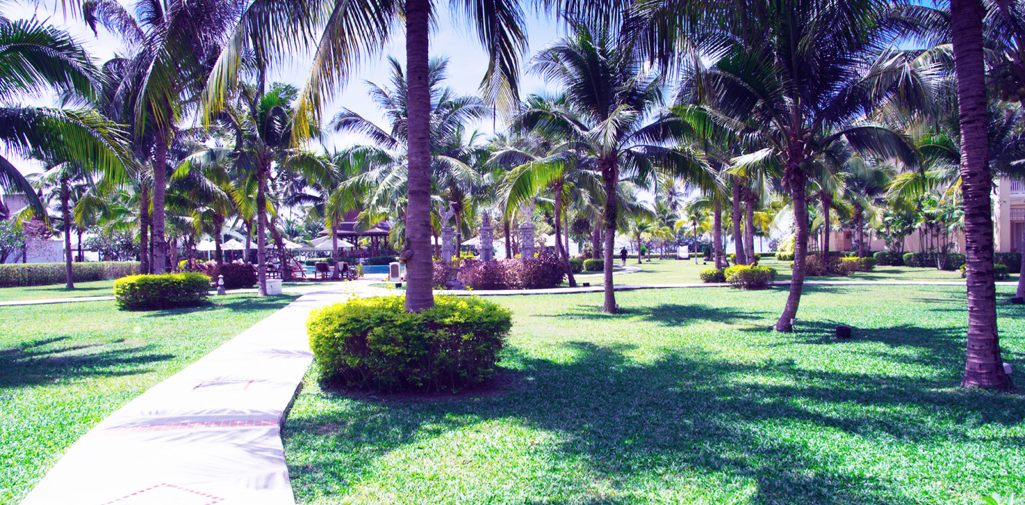 Landscaping & Plantation